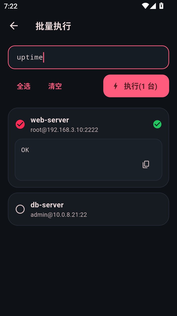 批量执行